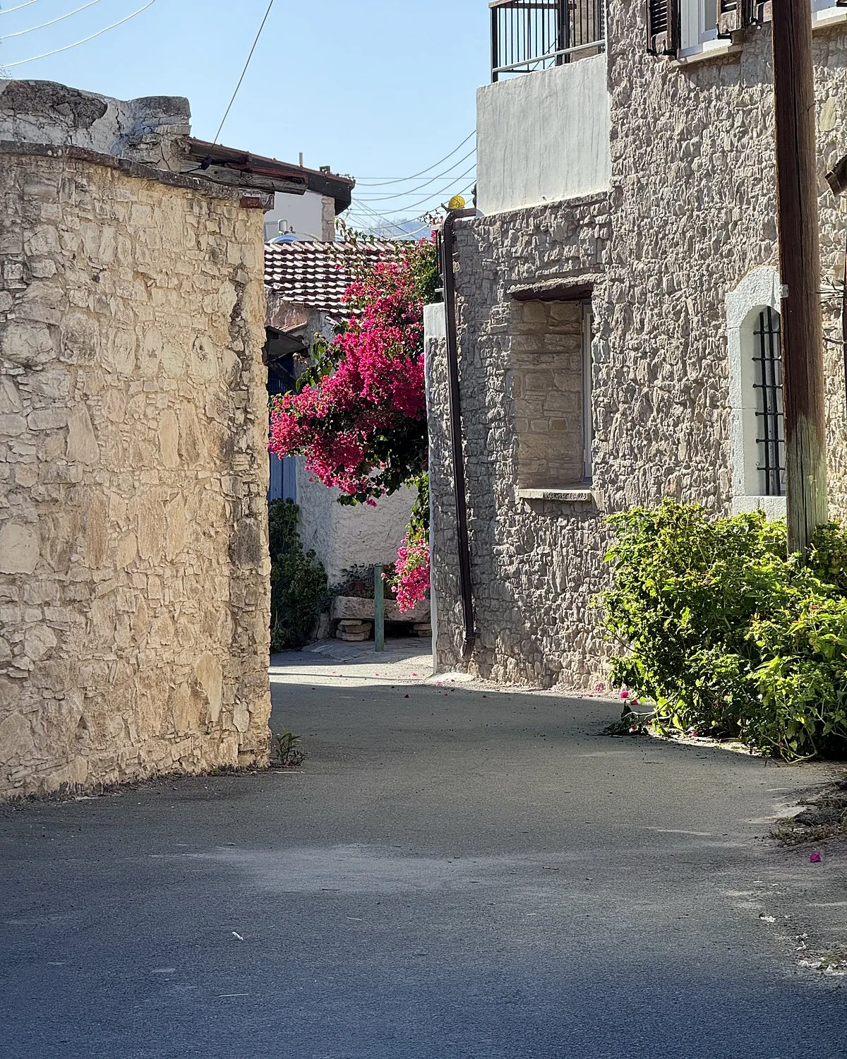 Lania village, Cyprus: we walked into every open door Narrow stone lane in Lania village with pink bougainvillea over a wall, Cyprus