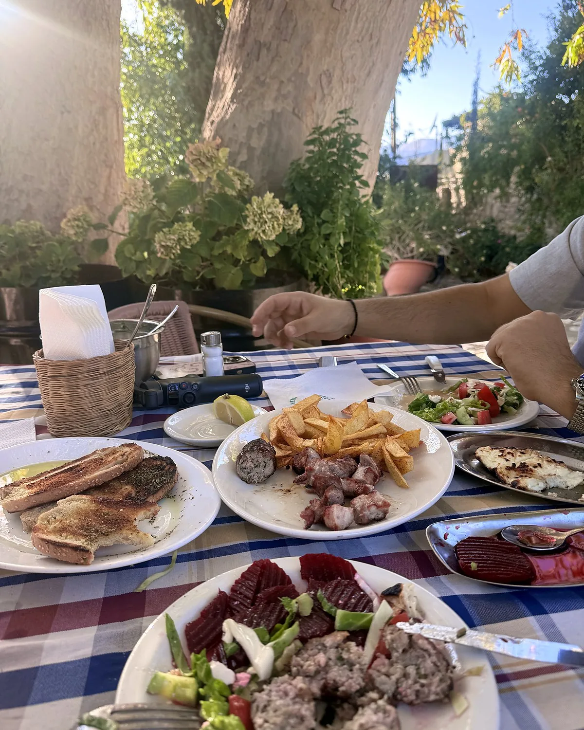 Lania village, Cyprus: we walked into every open door Lunch table under a plane tree at Platanos Tavern in Lania with grilled meat, chips, halloumi and salad