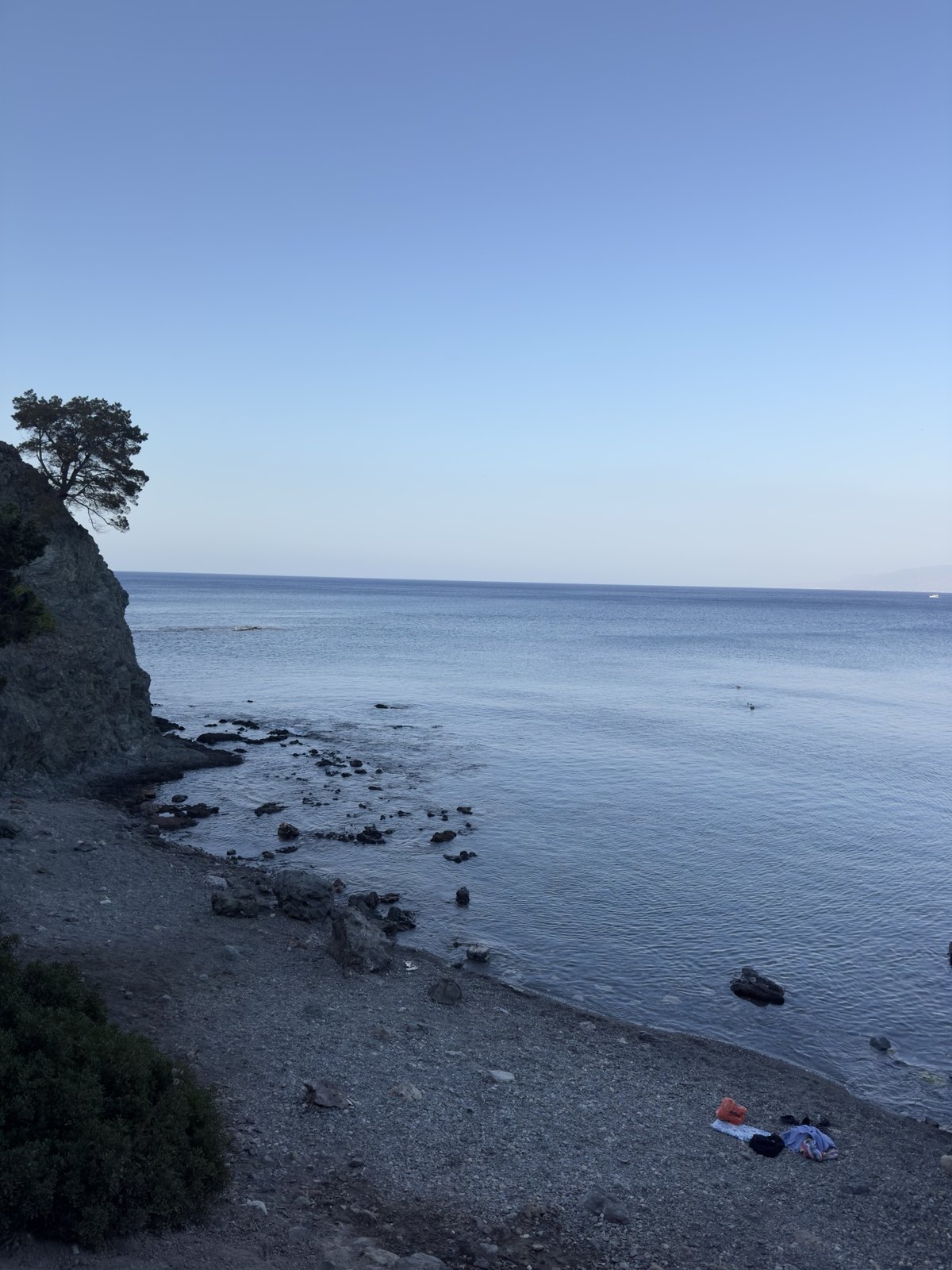 Quiet cove with a pine tree and rocks on the Akamas coast, Cyprus