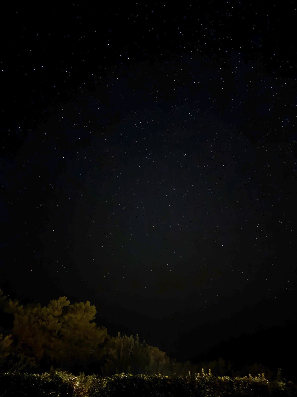 Night sky full of stars above the camp in Akamas, Cyprus
